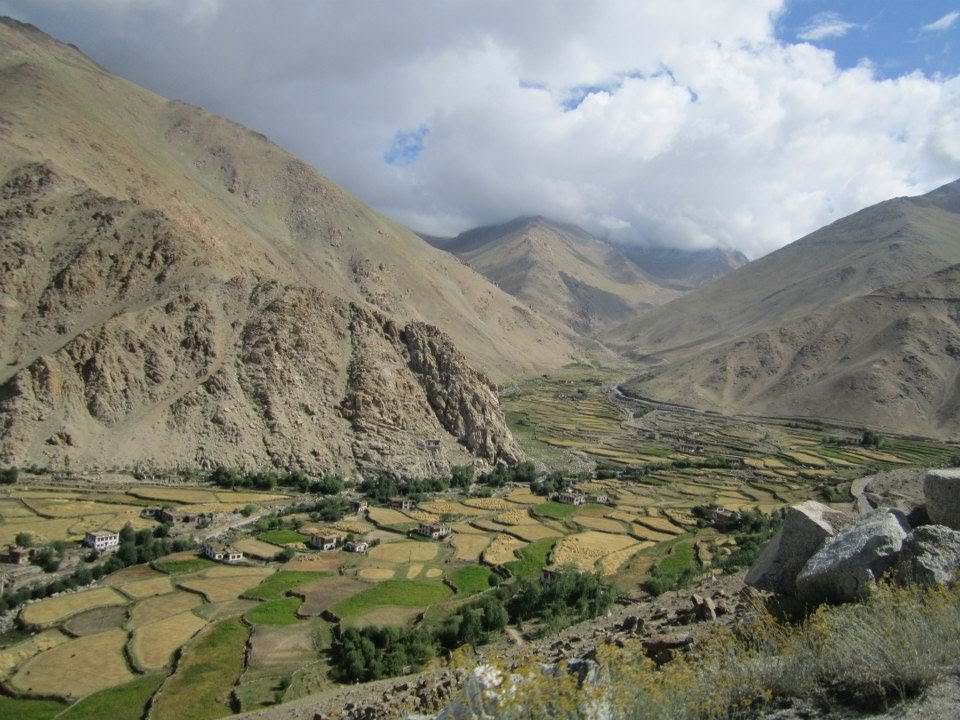 Spiti Step Farm